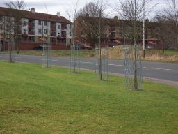 Railings6
